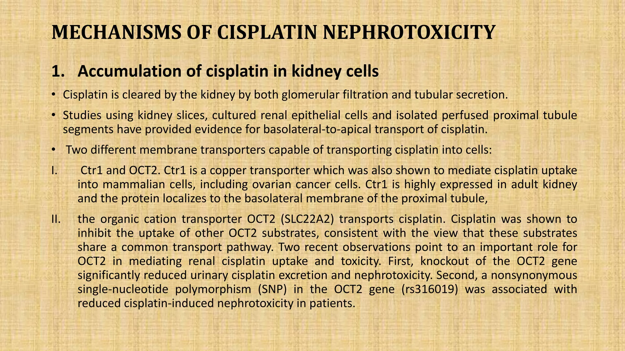 Molecular mechanism involved in cisplatin induced nephrotoxicity | PPTX ...