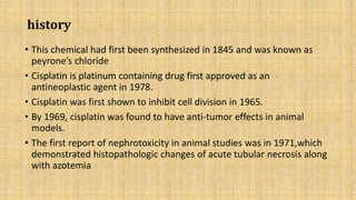 Molecular mechanism involved in cisplatin induced nephrotoxicity | PPTX