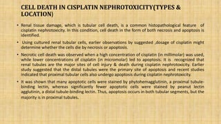 Molecular mechanism involved in cisplatin induced nephrotoxicity | PPTX
