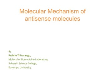 Molecular Mechanism of
antisense molecules
By
Prabhu Thirusangu,
Molecular Biomedicine Laboratory,
Sahyadri Science College,
Kuvempu University
 