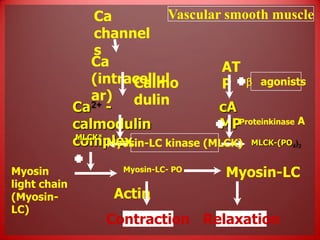 Molecular mechanism of drug action | PPTX
