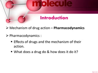 Molecular mechanism of drug action | PPTX