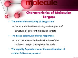 Molecular mechanism of drug action | PPTX