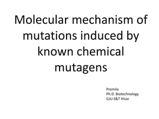 Molecular mechanism of
mutations induced by
known chemical
mutagens
Promila
Ph.D. Biotechnology
GJU S&T Hisar
 