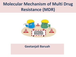 Molecular Mechanism of Multi Drug
Resistance (MDR)
Geetanjali Baruah
 