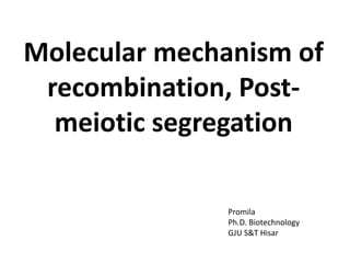 Molecular mechanism of
recombination, Post-
meiotic segregation
Promila
Ph.D. Biotechnology
GJU S&T Hisar
 