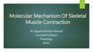 Molecular Mechanism Of Skeletal
Muscle Contraction
Dr. Sayyada Humaira Masood
Associate Professor
Physiology
ATMC.
 