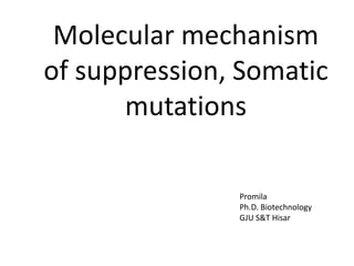 Molecular mechanism
of suppression, Somatic
mutations
Promila
Ph.D. Biotechnology
GJU S&T Hisar
 