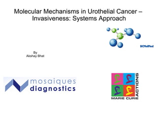 Molecular Mechanisms in Urothelial Cancer –
Invasiveness: Systems Approach
By
Akshay Bhat
 