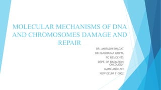MOLECULAR MECHANISMS OF DNA
AND CHROMOSOMES DAMAGE AND
REPAIR
DR. ANIRUDH BHAGAT
DR.PARBHAKAR GUPTA
PG RESIDENTS
DEPT. OF RADIATION
ONCOLOGY
MAMC AND LNH
NEW DELHI 110002
 