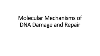 Molecular Mechanisms of
DNA Damage and Repair
 