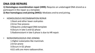 Molecular mechanisms of DNA damage and repair | PPTX