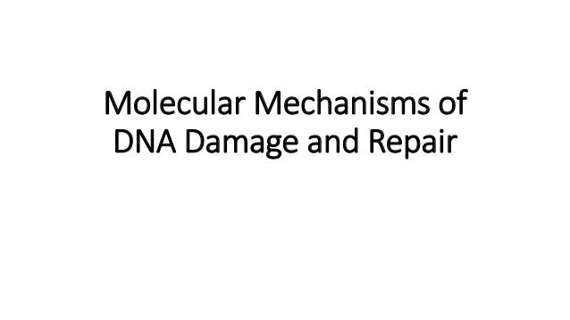molecular mechanisms of dna damage and