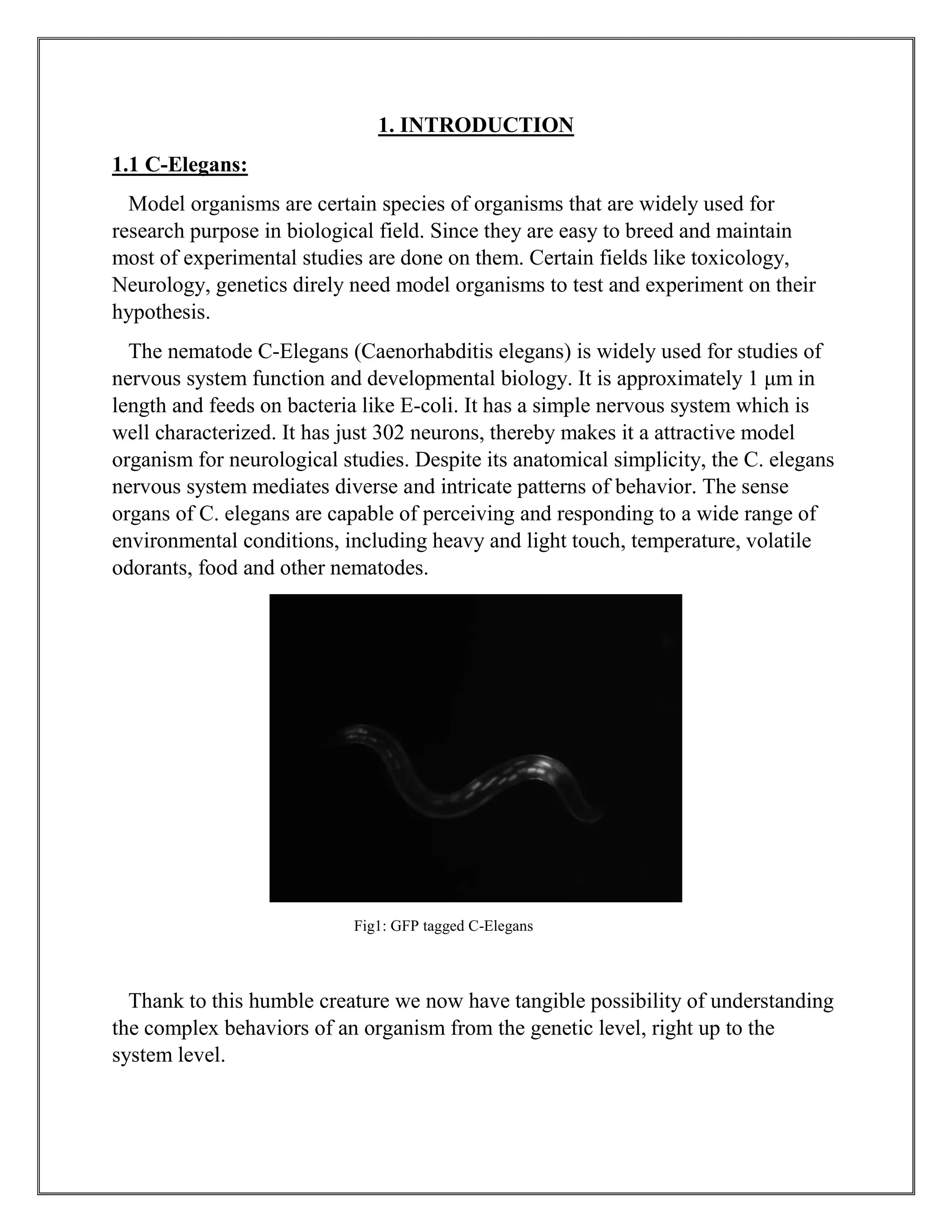 1. INTRODUCTION
1.1 C-Elegans:
Model organisms are certain species of organisms that are widely used for
research purpose in biological field. Since they are easy to breed and maintain
most of experimental studies are done on them. Certain fields like toxicology,
Neurology, genetics direly need model organisms to test and experiment on their
hypothesis.
The nematode C-Elegans (Caenorhabditis elegans) is widely used for studies of
nervous system function and developmental biology. It is approximately 1 μm in
length and feeds on bacteria like E-coli. It has a simple nervous system which is
well characterized. It has just 302 neurons, thereby makes it a attractive model
organism for neurological studies. Despite its anatomical simplicity, the C. elegans
nervous system mediates diverse and intricate patterns of behavior. The sense
organs of C. elegans are capable of perceiving and responding to a wide range of
environmental conditions, including heavy and light touch, temperature, volatile
odorants, food and other nematodes.
Fig1: GFP tagged C-Elegans
Thank to this humble creature we now have tangible possibility of understanding
the complex behaviors of an organism from the genetic level, right up to the
system level.
 