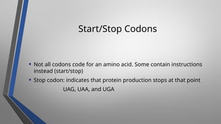 Stop Code Uaa molecular medicin unit 2 lecturer 1.pptx