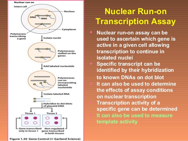 Molecular Methods