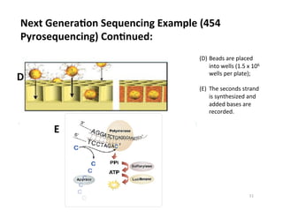 D
(D) Beads	
  are	
  placed	
  
into	
  wells	
  (1.5	
  x	
  106	
  
wells	
  per	
  plate);	
  
(E)  The	
  seconds	
  strand	
  
is	
  synthesized	
  and	
  
added	
  bases	
  are	
  
recorded.	
  
Next	
  GeneraDon	
  Sequencing	
  Example	
  (454	
  
Pyrosequencing)	
  ConDnued:	
  
E	
  
11	
  
 