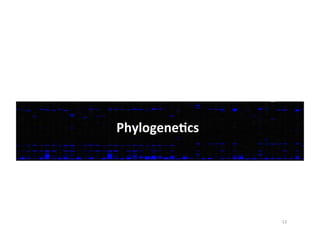 PhylogeneDcs	
  
13	
  
 