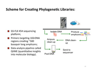 §  GS-­‐FLX	
  454	
  sequencing	
  
planorm;	
  
§  Primers	
  targe8ng	
  16SrDNA	
  
regions	
  crea8ng	
  ~500	
  
basepair	
  long	
  amplicons;	
  
§  Data	
  analysis	
  pipeline	
  called	
  
QIIME	
  (quan8ta8ve	
  insights	
  
into	
  molecular	
  biology).	
  
Isolate DNA Produce
amplicons
DNA clean-
up
Ampure
clean-up
Pool DNA
Scheme	
  for	
  CreaDng	
  PhylogeneDc	
  Libraries:	
  
Send to
sequencer
37	
  
 