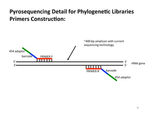 Pyrosequencing	
  Detail	
  for	
  PhylogeneDc	
  Libraries	
  
Primers	
  ConstrucDon:	
  
!"#
!"#
$"#
$"#
%$%#&'&()*+#
%$%#&'&()*+#
,&+-*'.#
,&+-*'.# /01230#4#
/01230#0#
+056#7.8.#
9%::#,(#&;(<=-*8#>=)?#-@++.8)#
A.B@.8-=87#).-?8*<*7C#
38	
  
 
