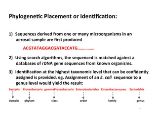 PhylogeneDc	
  Placement	
  or	
  IdenDﬁcaDon:	
  
1)  Sequences	
  derived	
  from	
  one	
  or	
  many	
  microorganisms	
  in	
  an	
  
aerosol	
  sample	
  are	
  ﬁrst	
  produced	
  	
  
ACGTATAGGACGATACCATG……………	
  
2)  Using	
  search	
  algorithms,	
  the	
  sequenced	
  is	
  matched	
  against	
  a	
  
databases	
  of	
  rDNA	
  gene	
  sequences	
  from	
  known	
  organisms.	
  	
  	
  
3)  IdenDﬁcaDon	
  at	
  the	
  highest	
  taxonomic	
  level	
  that	
  can	
  be	
  conﬁdently	
  
assigned	
  is	
  provided.	
  eg.	
  Assignment	
  of	
  an	
  E.	
  coli	
  	
  sequence	
  to	
  a	
  
genus	
  level	
  would	
  yield	
  the	
  result:	
  
Bacteria 	
  Proteobacteria	
  	
  gammaProteobacteria	
  	
  	
  Enterobacteriales 	
  Enterobacteraceae	
   	
  Escherichia	
  
domain 	
  	
  	
  phylum 	
   	
   	
  class	
   	
   	
   	
  order 	
   	
   	
  family 	
   	
   	
  genus
	
   	
  	
  
41	
  
 