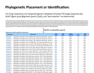 PhylogeneDc	
  Placement	
  or	
  IdenDﬁcaDon:	
  
For	
  Fungi:	
  Sequences	
  are	
  compared	
  against	
  a	
  database	
  of	
  known	
  ITS	
  fungal	
  sequences	
  (by	
  
BLAST	
  (Basic	
  Local	
  Alignment	
  Search	
  Tool)),	
  and	
  “best	
  matches”	
  are	
  determined	
  
TGCGGAAGGATCATTACCGAGTGAGGGCCCTCTGGGTCCAACCTCCCACCCGTGTCTATCGTACCTTGTTGCTTCGGCGGGCCCGCCGTTTCGACGGCCGCCGGGGAGGCCTTGCGCCCCCGGGC
CCGCGCCCGCCGAAGACCCCAACATGAACGCTGTTCTGAAAGTATGCAGTCTGAGTTGATTATCGTAATCAGTTAAAACTTTCAACAACGGATCTCTTGGTTCCGGCATCGATGAAGAACGCAGCG
AAATGCGATAAGTAATGTGAATTGCAGAATTCAGTGAATCATCGAGTCTTTGAACGCACATTGCGCCCCCTGGTATTCCGGGGGGCATGCCTGTCCGAGCGTCATTGCTGCCCTCAAGCACGGCTT
GTGTGTTGGGCCCCCGTCCCCCTCTCCCGGGGGACGGGCCCGAAAGGCAGCGGCGGCACCGCGTCCGGTCCTCGAGCGTATGGGGCTTTGTCACCTGCTCTGTAGGCCCGGCCGGCGCCAGCCG
ACACCCAACTTTATTTTTCTAAGGTTGACCTCGGATCAGGTAGGGATACCCGCTGAACTTAAGCATATCAATAAGGCGGA	
  
BLAST	
  nucleo8de	
  search	
  
43	
  
 