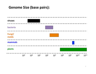 Genome	
  Size	
  (base	
  pairs):	
  
viruses	
  
bacteria	
  
Fungi/
molds	
  
mammals	
  
plants	
  
103	
   104	
   105	
   106	
   107	
   108	
   109	
   1010	
   1011	
  
7	
  
 