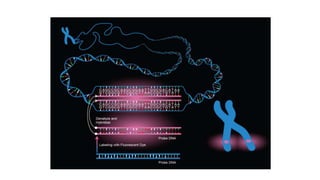 Molecular methods in oncology | PPTX