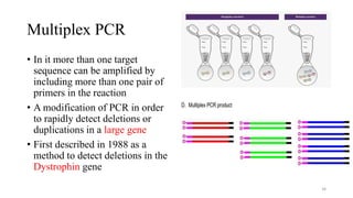 MOLECULAR MICROBIOLOGY.pptx