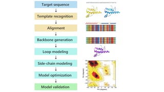 Molecular modeling.pptx Bsc Biochemistry | PPTX