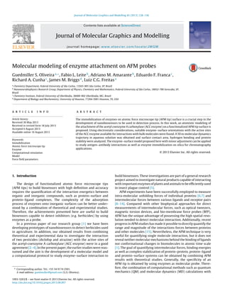 Journal of Molecular Graphics and Modelling 45 (2013) 128–136
Contents lists available at ScienceDirect
Journal of Molecular Graphics and Modelling
journal homepage: www.elsevier.com/locate/JMGM
Molecular modeling of enzyme attachment on AFM probes
Guedmiller S. Oliveiraa,∗
, Fabio L. Leiteb
, Adriano M. Amaranteb
, Eduardo F. Francac
,
Richard A. Cunhac
, James M. Briggsd
, Luiz C.G. Freitasa
a
Chemistry Department, Federal University of São Carlos, 13565-905 São Carlos, SP, Brazil
b
Nanoneurobiophysics Research Group, Department of Physics, Chemistry and Mathematics, Federal University of São Carlos, 18052-780 Sorocaba, SP,
Brazil
c
Chemistry Institute, Federal University of Uberlândia, 38400-902 Uberlândia, MG, Brazil
d
Department of Biology and Biochemistry, University of Houston, 77204-5001 Houston, TX, USA
a r t i c l e i n f o
Article history:
Received 30 May 2013
Received in revised form 18 July 2013
Accepted 6 August 2013
Available online 16 August 2013
Keywords:
Immobilization
Atomic force microscope tip
Enzyme
Computational simulation
Model
Force ﬁeld parameters
a b s t r a c t
The immobilization of enzymes on atomic force microscope tip (AFM tip) surface is a crucial step in the
development of nanobiosensors to be used in detection process. In this work, an atomistic modeling of
the attachment of the acetyl coenzyme A carboxylase (ACC enzyme) on a functionalized AFM tip surface is
proposed. Using electrostatic considerations, suitable enzyme–surface orientations with the active sites
of the ACC enzyme available for interactions with bulk molecules were found. A 50 ns molecular dynamics
trajectory in aqueous solution was obtained and surface contact area, hydrogen bonding and protein
stability were analyzed. The enzyme–surface model proposed here with minor adjustment can be applied
to study antigen–antibody interactions as well as enzyme immobilization on silica for chromatography
applications.
© 2013 Elsevier Inc. All rights reserved.
1. Introduction
The design of functionalized atomic force microscope tips
(AFM tips) to build biosensors with high deﬁnition and accuracy
requires the quantiﬁcation of the interaction energetics between
organic and inorganic compounds, such as protein–surface and
protein–ligand complexes. The complexity of the adsorption
process of enzymes onto inorganic surfaces can be better under-
stood by a combination of theoretical and experimental studies.
Therefore, the achievements presented here are useful to build
biosensors capable to detect inhibitors (e.g. herbicides) by using
enzymes as a probe.
In a previous paper of our research group [1] we have been
developing prototypes of nanobiosensors to detect herbicides used
in agriculture. In addition, our obtained results from combining
theoretical and experimental data to investigate the interaction
of two pesticides (diclofop and atrazine) with the active sites of
the acetyl-coenzyme A carboxylase (ACC enzyme) were in a good
agreement [2–4]. In the present paper, the earlier studies were reas-
sumed and the aim is the development of a molecular model and
a computational protocol to study enzyme–surface interaction to
∗ Corresponding author. Tel.: +55 34 9174 2501.
E-mail address: guedmuller@gmail.com (G.S. Oliveira).
build biosensors. These investigations are part of a general research
project aimed to investigate natural products capable of interacting
with important enzymes of plants and animals to be efﬁciently used
in insect plague control [5].
AFM experiments have been successfully employed to measure
intra-molecular unfolding forces of individual proteins [6,7] and
intermolecular forces between various ligands and receptor pairs
[8–14]. Compared with other biophysical approaches for direct
measurements of intermolecular forces, such as optical tweezers,
magnetic torsion devices, and bio-membrane force probes (BFP),
AFM has the unique advantage of possessing the high spatial reso-
lution needed to detect molecular interaction. Additionally, recent
progress in AFM studies has made it possible to directly quantify the
range and magnitude of the interactions forces between proteins
and other molecules [15]. Nevertheless, the AFM technique is very
useful for quantifying single molecule interaction, but it does not
reveal neither molecular mechanisms behind the binding of ligands
nor conformational changes in biomolecules in atomic time scale
[1]. The goal of quantifying intermolecular forces, binding energies
as well as complex stabilization of protein–protein, protein–ligand
and protein–surface systems can be obtained by combining AFM
results with theoretical studies. Generally, the speciﬁcity of an
AFM tip is obtained by using enzymes as molecular probe. There-
fore, the combination of computational methods such as quantum
mechanics (QM) and molecular dynamics (MD) calculations with
1093-3263/$ – see front matter © 2013 Elsevier Inc. All rights reserved.
http://dx.doi.org/10.1016/j.jmgm.2013.08.007
 