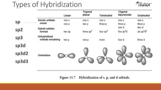 Types of Hybridization
sp
sp2
sp3
sp3d
sp3d2
sp3d3
 