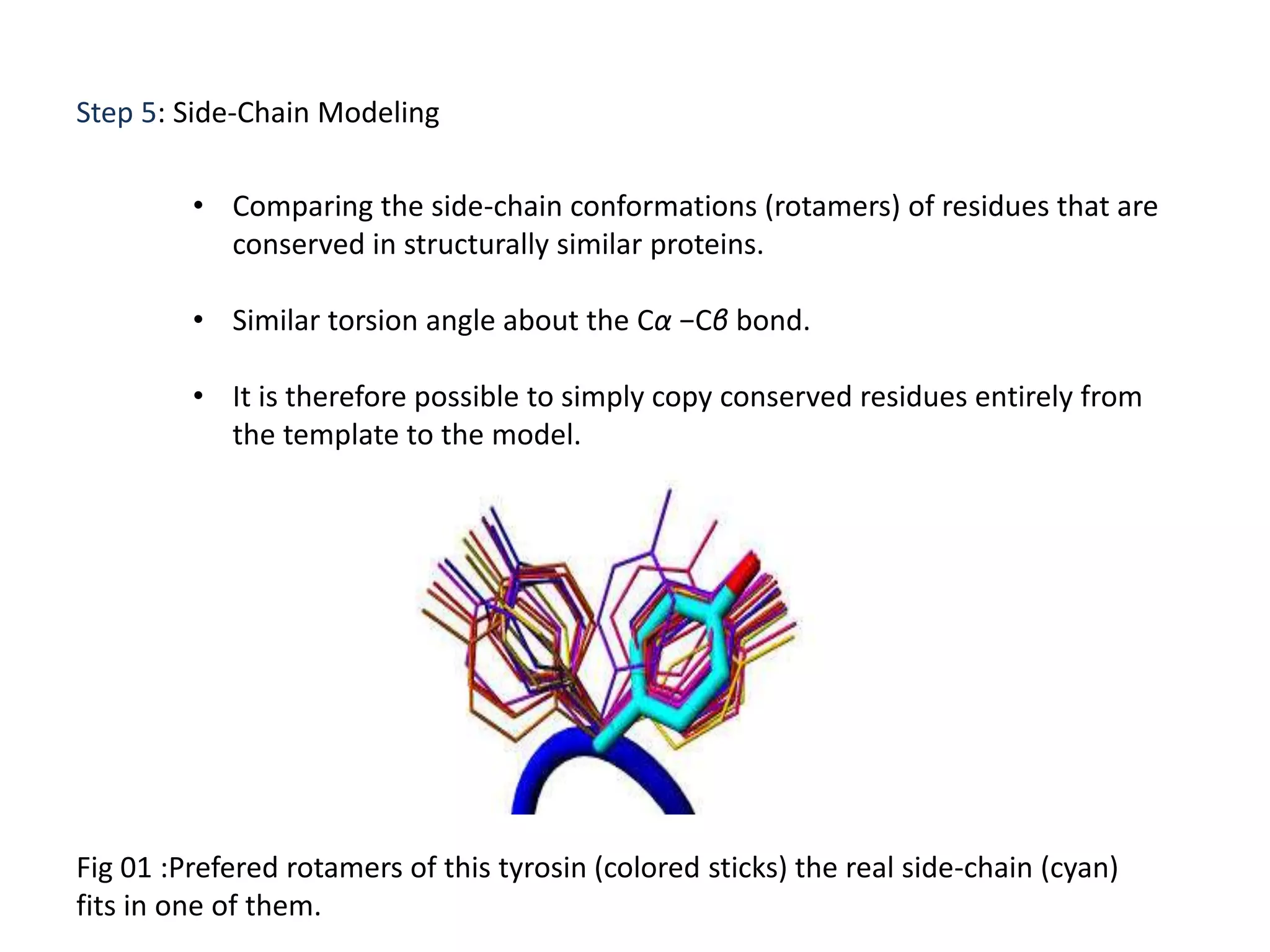 Step 5: Side-Chain Modeling
• Comparing the side-chain conformations (rotamers) of residues that are
conserved in structurally similar proteins.
• Similar torsion angle about the Cα −Cβ bond.
• It is therefore possible to simply copy conserved residues entirely from
the template to the model.
Fig 01 :Prefered rotamers of this tyrosin (colored sticks) the real side-chain (cyan)
fits in one of them.
 