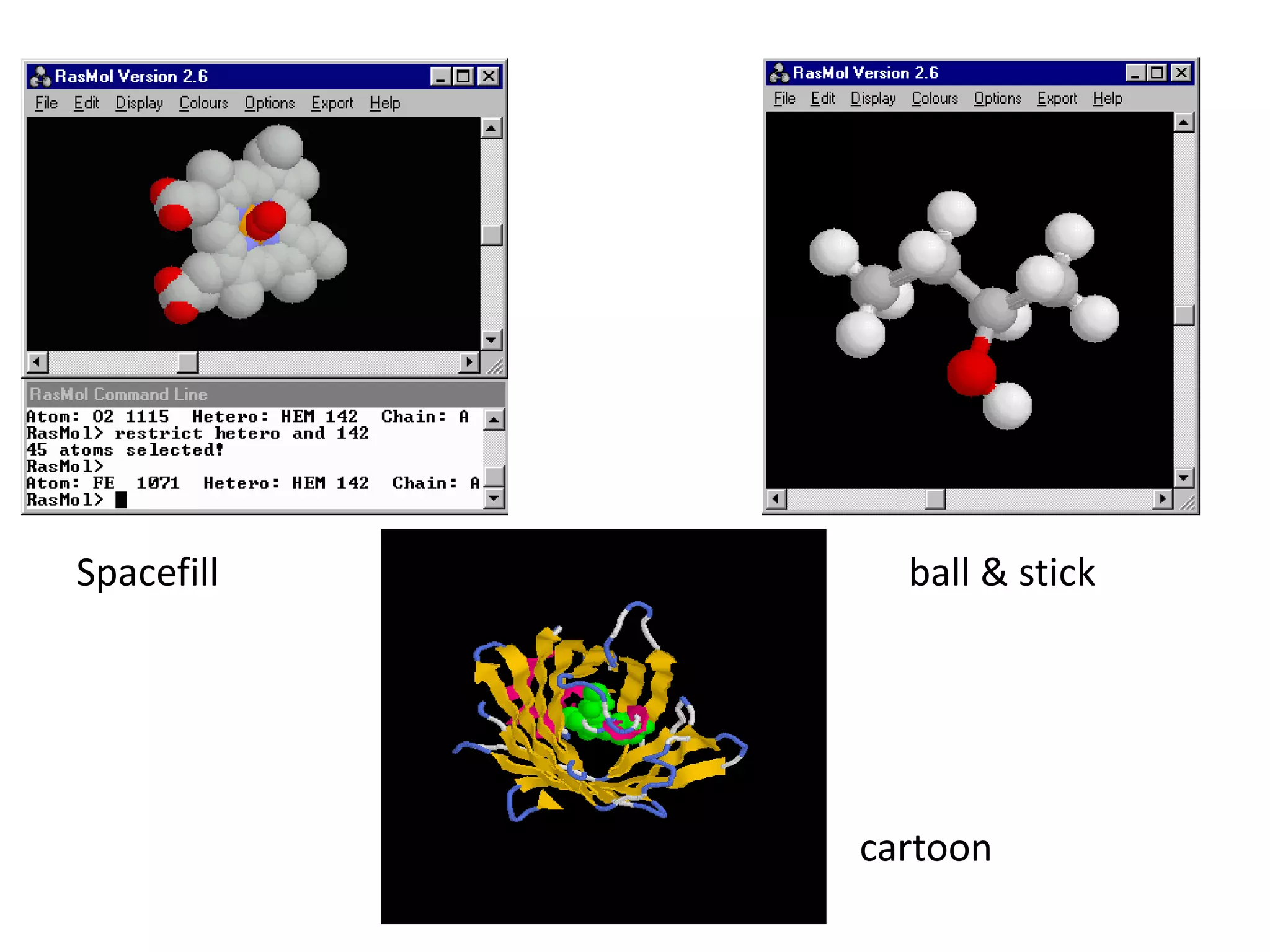 Spacefill ball & stick
cartoon
 