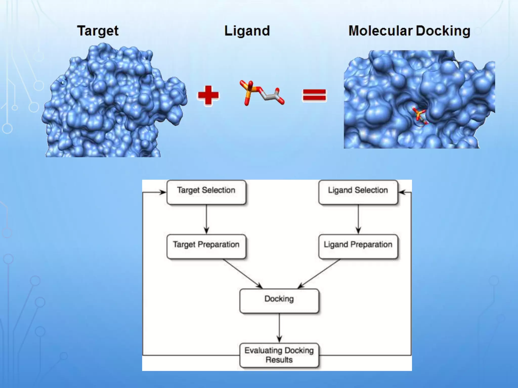 Molecular modelling and dcoking.pptx