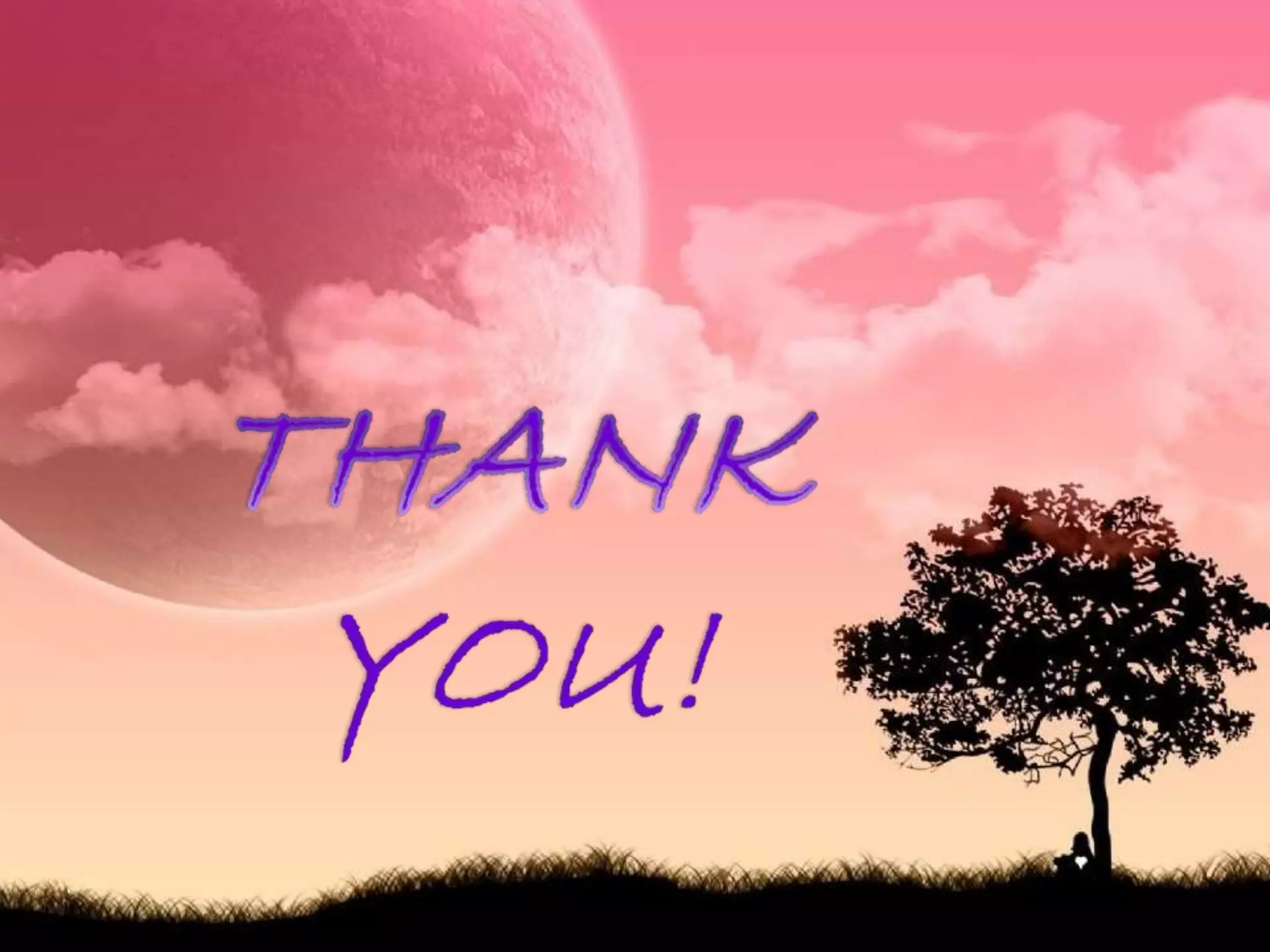 Molecular modelling and docking studies