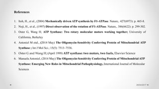 28/04/2017
1. Itoh, H., et al., (2004) Mechanically driven ATP synthesis by F1-ATPase. Nature,. 427(6973): p. 465-8.
2. Noji, H., et al., (1997) Direct observation of the rotation of F1-ATPase. Nature,. 386(6622): p. 299-302.
3. Oster G, Wang H; ATP Synthase: Two rotary molecular motors working together; University of
California, Berkeley
4. Antoniel M etal., (2014 May) The Oligomycin-Sensitivity Conferring Protein of Mitochondrial ATP
Synthase ; Int J Mol Sci.; 15(5): 7513–7536.
5. Oster G and Wang H; (April 1999) ATP synthase: two motors, two fuels, Elsevier Science
6. Manuela Antoniel, (2014 May) The Oligomycin-Sensitivity Conferring Protein of Mitochondrial ATP
Synthase: Emerging New Roles in Mitochondrial Pathophysiology, International Journal of Molecular
Sciences
References
 