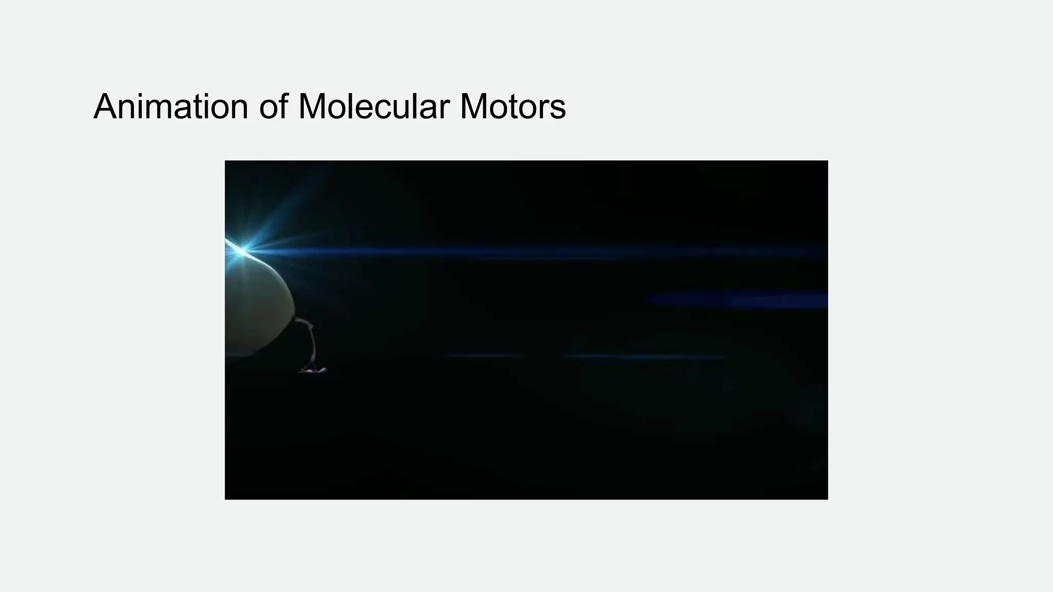 Animation of Molecular Motors
 