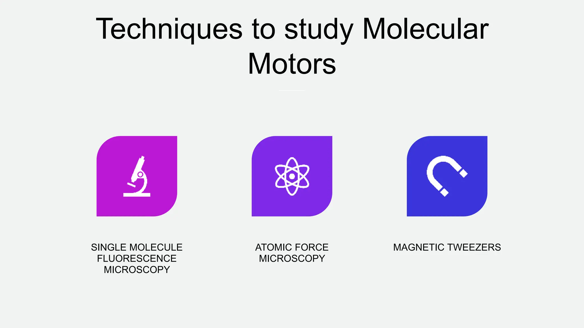 Techniques to study Molecular
Motors
SINGLE MOLECULE
FLUORESCENCE
MICROSCOPY
ATOMIC FORCE
MICROSCOPY
MAGNETIC TWEEZERS
 
