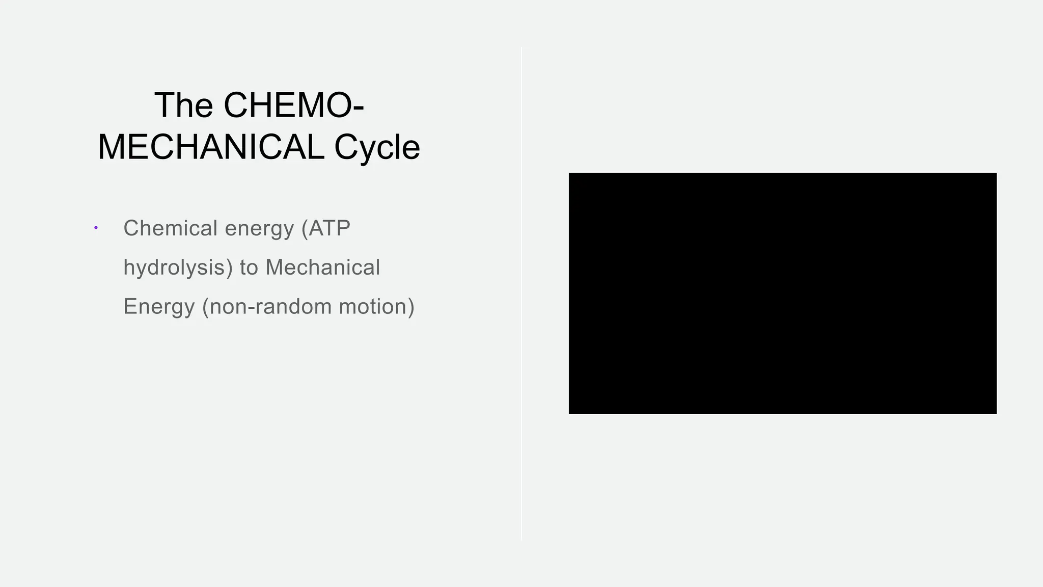 The CHEMO-
MECHANICAL Cycle

 