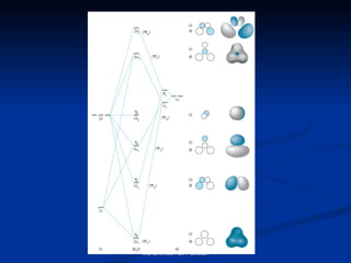 Muhammad Asif Pakistan 