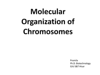 Molecular
Organization of
Chromosomes
Promila
Ph.D. Biotechnology
GJU S&T Hisar
 