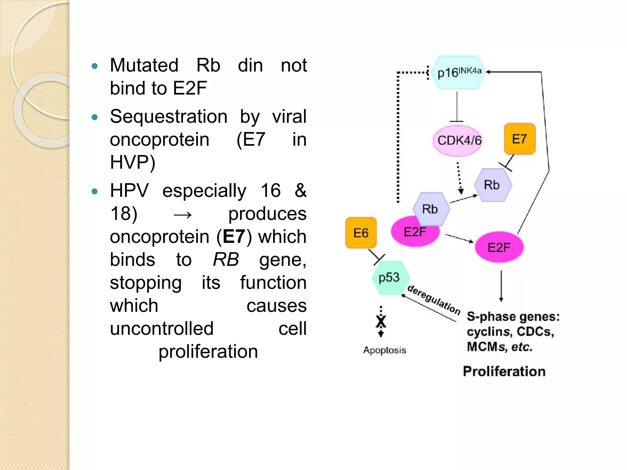 Molecular pathogenesis of head and neck cancer | PPTX