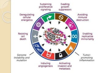 Molecular pathogenesis of head and neck cancer | PPTX