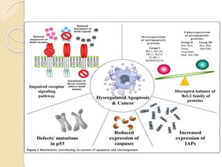 Molecular pathogenesis of head and neck cancer | PPTX