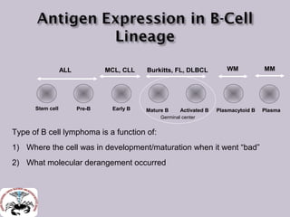 Molecular pathology of lymphoma by dr ramesh | PPT
