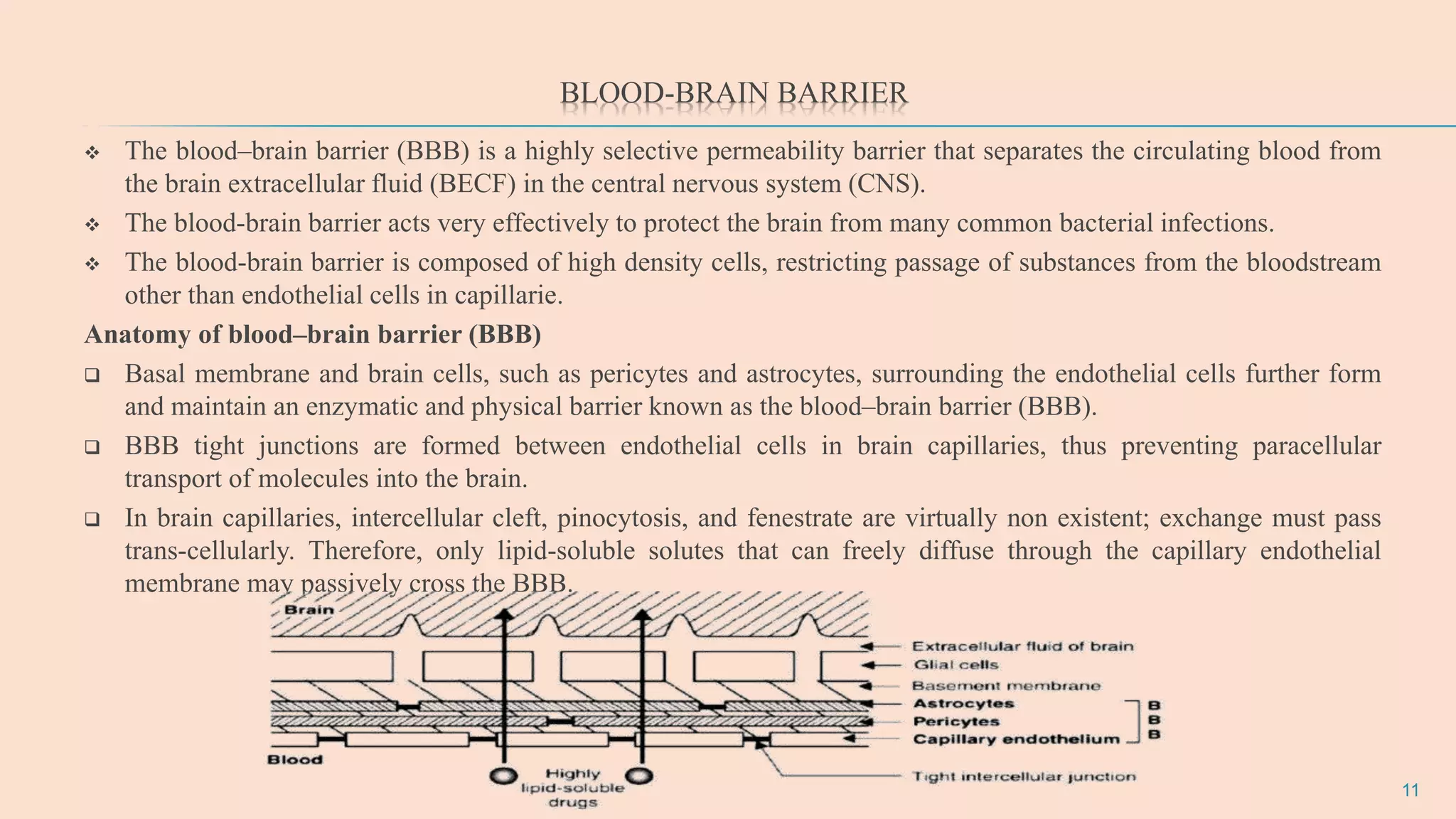 Tumour targeting and Brain specific drug delivery | PPTX