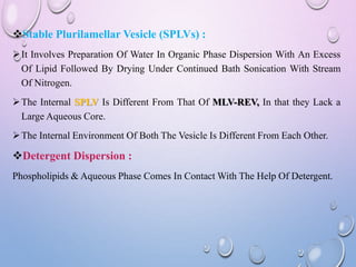 (Prepared By : Shubham Badhe) | PPTX