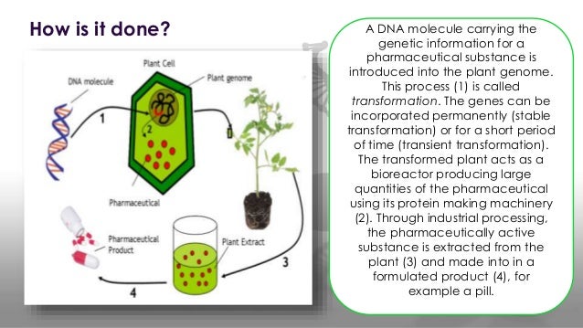 Molecular pharming