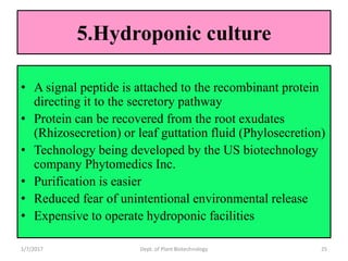 5.Hydroponic culture
• A signal peptide is attached to the recombinant protein
directing it to the secretory pathway
• Protein can be recovered from the root exudates
(Rhizosecretion) or leaf guttation fluid (Phylosecretion)
• Technology being developed by the US biotechnology
company Phytomedics Inc.
• Purification is easier
• Reduced fear of unintentional environmental release
• Expensive to operate hydroponic facilities
1/7/2017 25Dept. of Plant Biotechnology
 